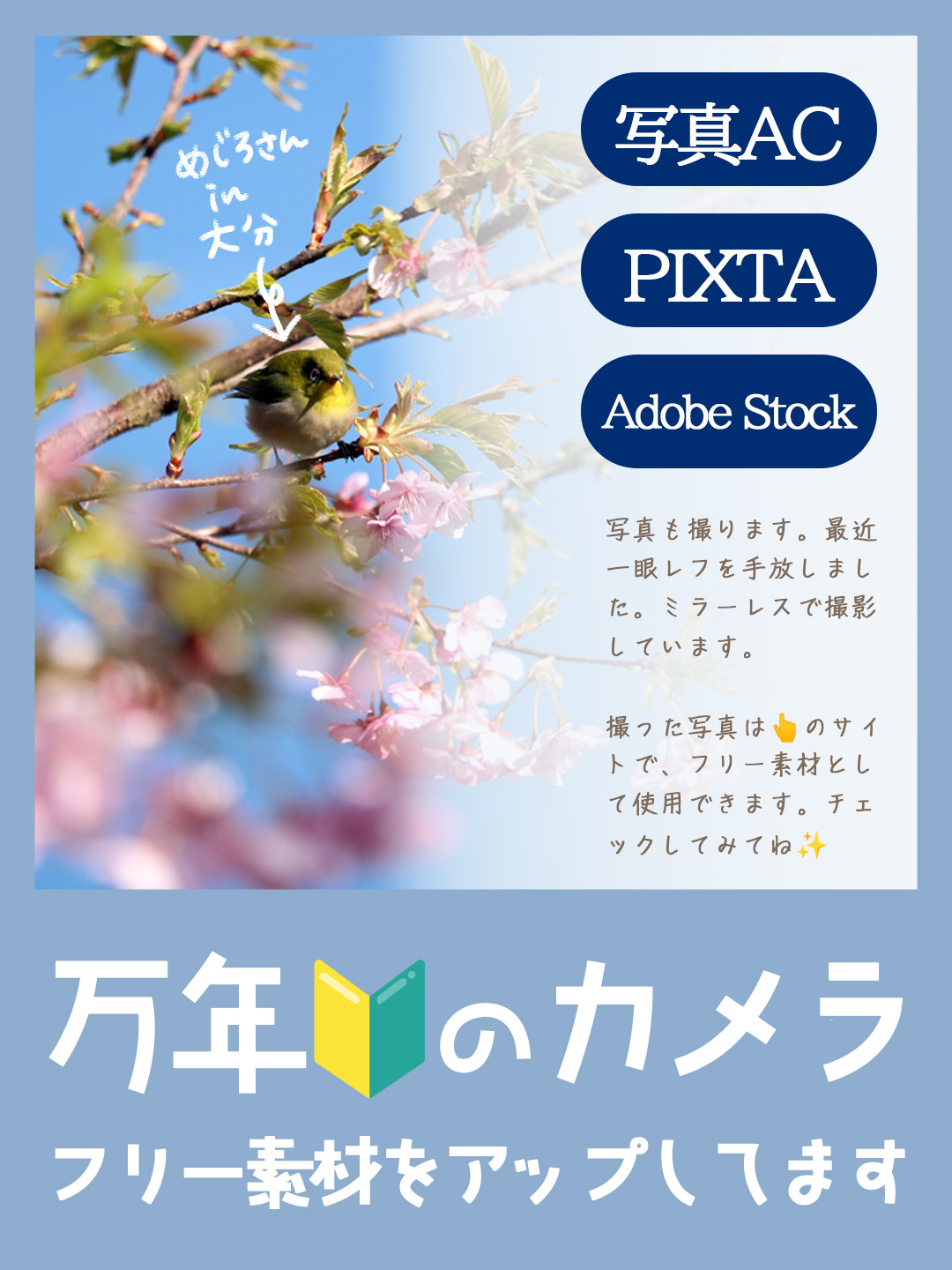 さとうみるく｜プロフィール